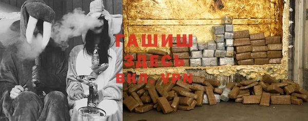 ПСИЛОЦИБИНОВЫЕ ГРИБЫ Верея