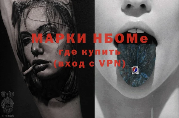 дживик Надым