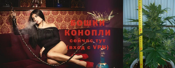 ПСИЛОЦИБИНОВЫЕ ГРИБЫ Верея