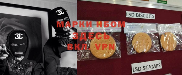 ПСИЛОЦИБИНОВЫЕ ГРИБЫ Верея