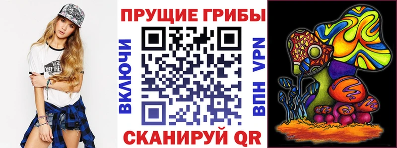 Галлюциногенные грибы прущие грибы Купить где Артёмовский